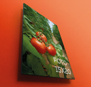 carton pluma 15x20 cm